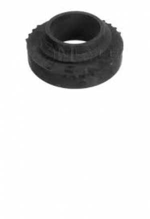 كوتش ياياى خلفى