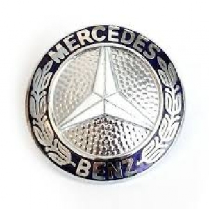 نجمة شبكة زرقاء