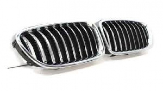 شبكة اسود*نيكل F10 LCI | 13-16 R