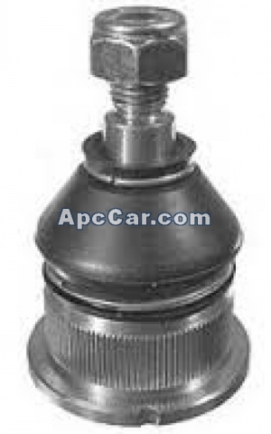 بيضة مقص امامى سفلى