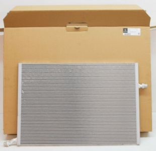 Radiator (Low Temperature)