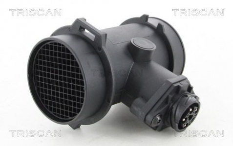 Mass Air Flow Sensor (MAF)