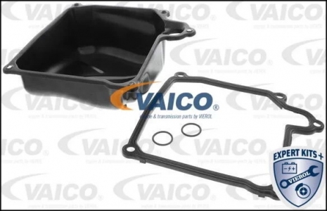 جوان كرتير فتيس