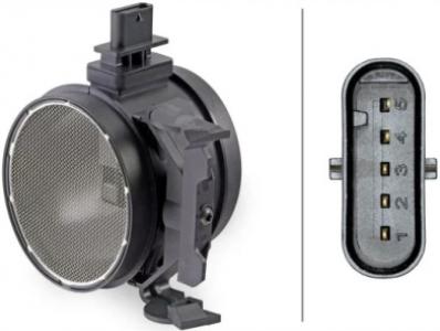 Mass Air Flow Sensor (MAF)