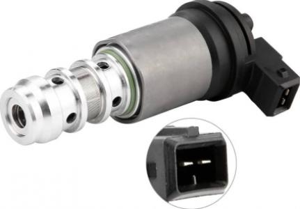 ابرة فانوس -سلونيد الكامة-