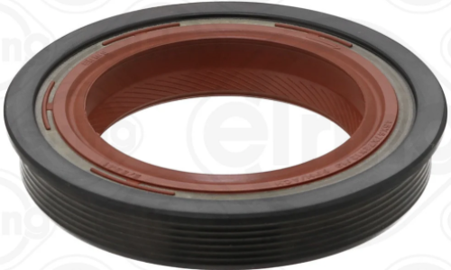 اويل سيل فتيس