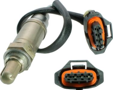 حساس جاكمان فوق فيشة دكر