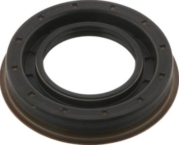 اويل سيل بنيون فتيس خلفى