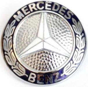 نجمة شبكة زرقاء