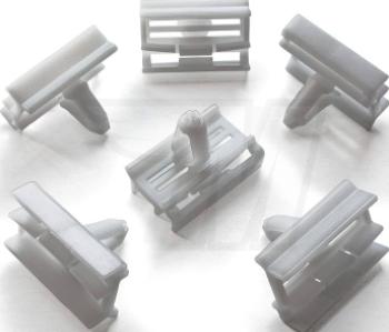 كلبس باكتة جنب