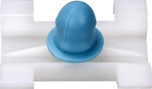 كلبس باكتة جنب (جريدة)