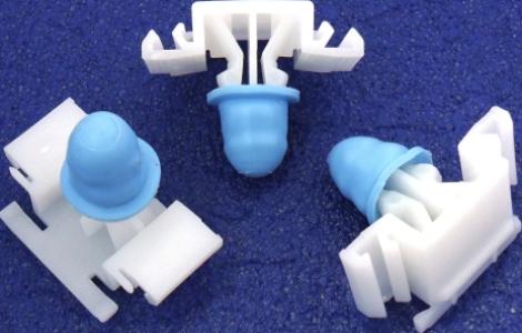 كلبس باكتة جنب