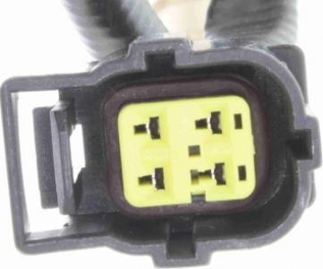 حساس جاكمان 