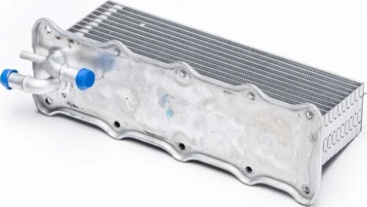 سربنتيتة مانفول