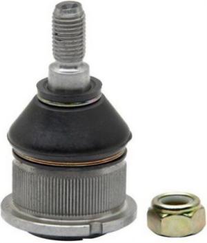 بيضة مقص امامى سفلى