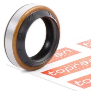 اويل سيل ناقل حركة -فتيس- (مانوال)