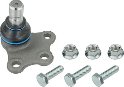 بيضة مقص امامى