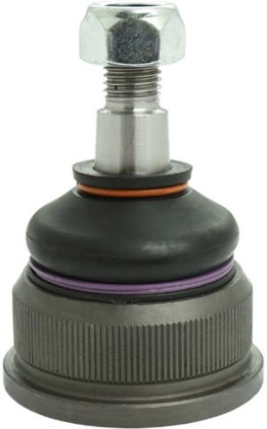 بيضة مقص امامى قصيرة 