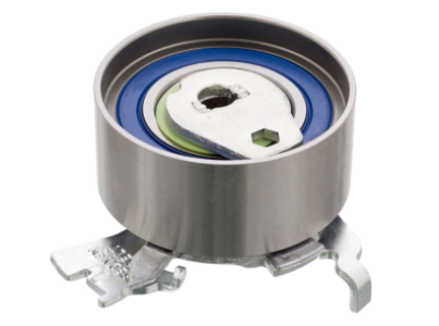 بكرة تقسيمة