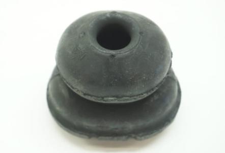 كوتش خلفى جوجع