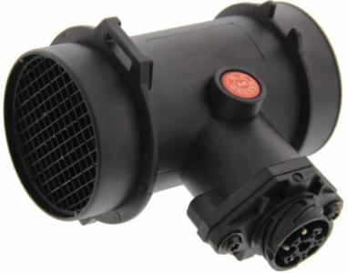Mass Air Flow Sensor (MAF)