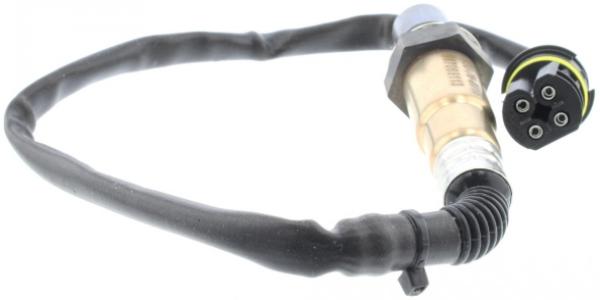 حساس جاكمان -علوى-