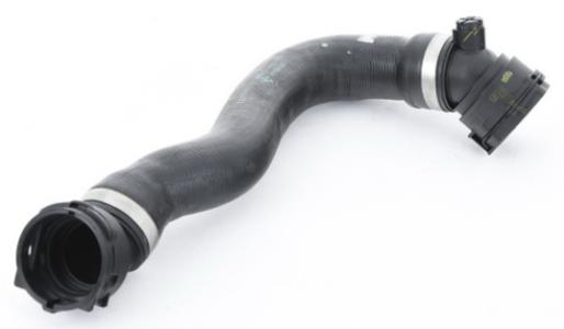 خرطوم رادتير سفلى