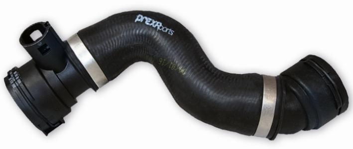 خرطوم رادتير سفلى