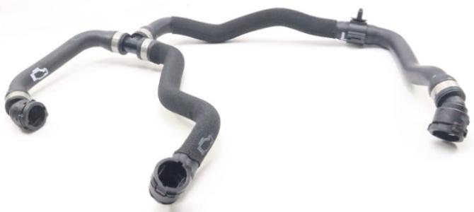 خرطوم رادتير شجرة