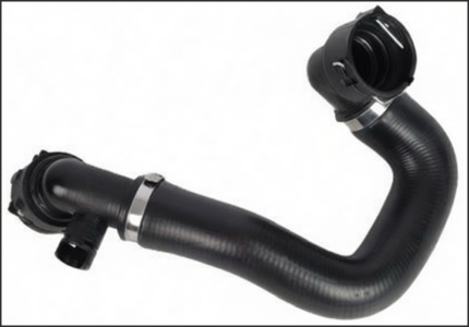 خرطوم رادتير سفلى