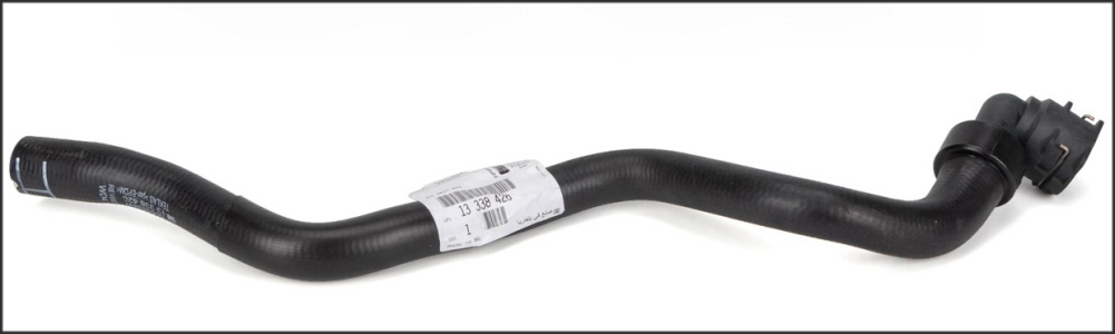 خرطوم سخن -تغذية-