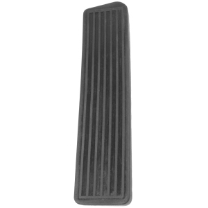 كوتش بدالة اكسراتير عمومى