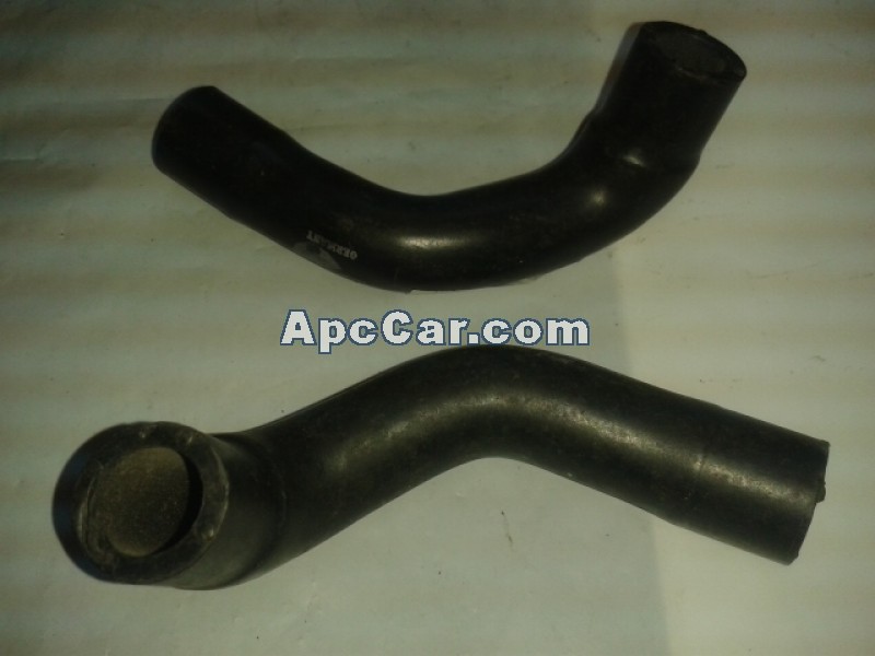 ببة عمة 220049