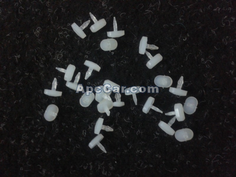 كلبس جريدة شبكة عمومى كبير