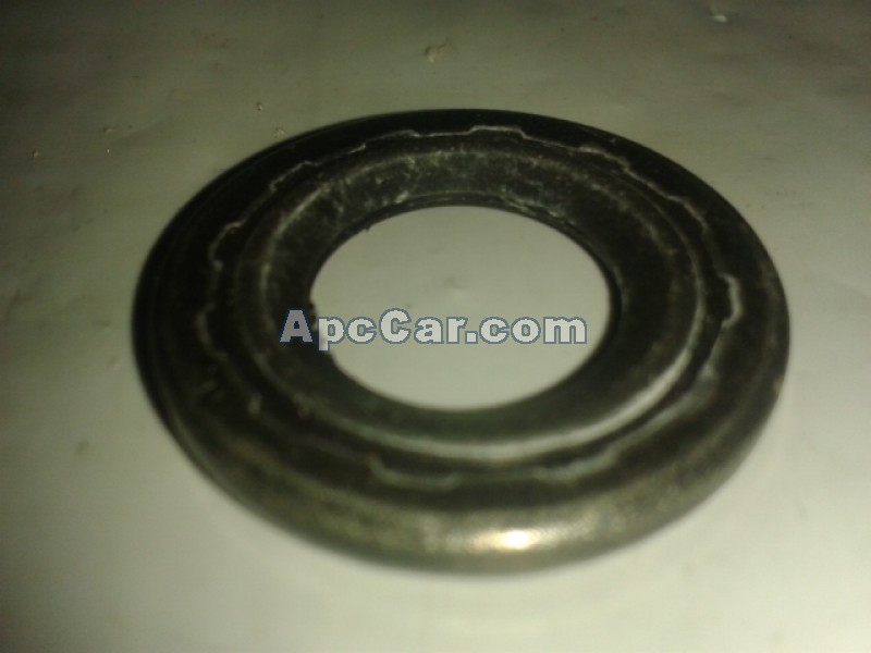 وردة كباس كبيرة