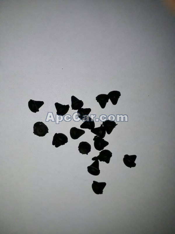 طبة كوتش تحت الرفرف